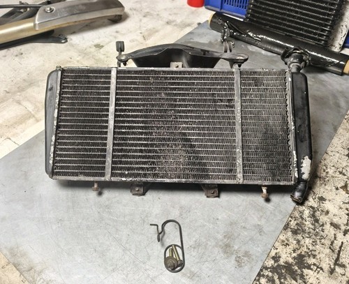 Triumph sprint 1050 - sprint,