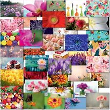 Doodlecards Pack of 40 Mixed