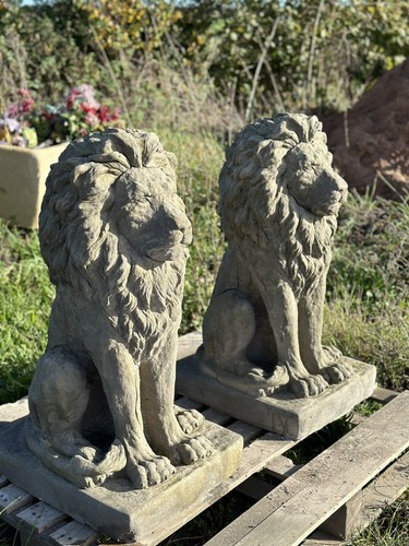 Pair large proud lions heavy - proud,