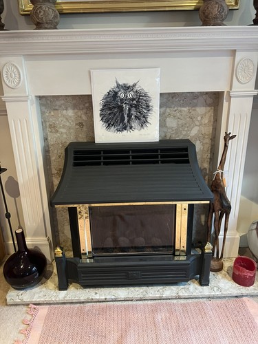 Cannon coalridge balanced flue - cannon,
