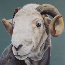 Herdwick sheep canvas print, Keeper of the fells, Thuline ,Wall Art, 45x45cm