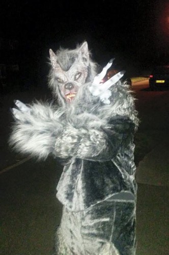Wolf scary dog full costume - wolf,