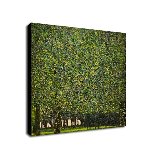 The park gustav klimt - gustav,