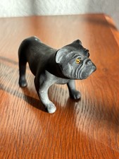 Beautiful Little Bull Dog In