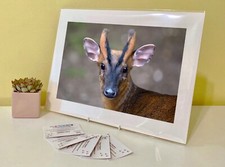 Art Print Image Picture Photo