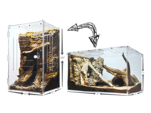 Herpcult acrylic reptile - herpcult,