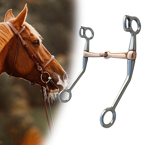 Horse tack shape - horse,