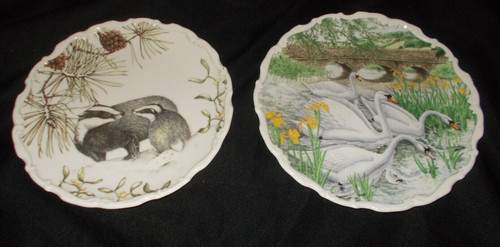 Animal bird royal albert - animal,