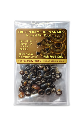 Frozen ramshorn snails fish - ramshorn,
