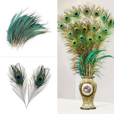 20pcs Real Peacock Sword Side