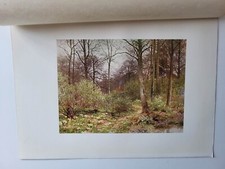 Old Antique Vintage Colour