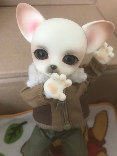 Bjd doll yosd 19cm - doll, luts
