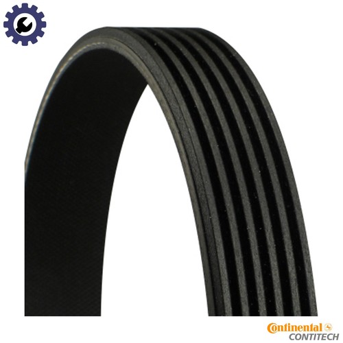 Vribbed belt 6pk1635 - vribbed,