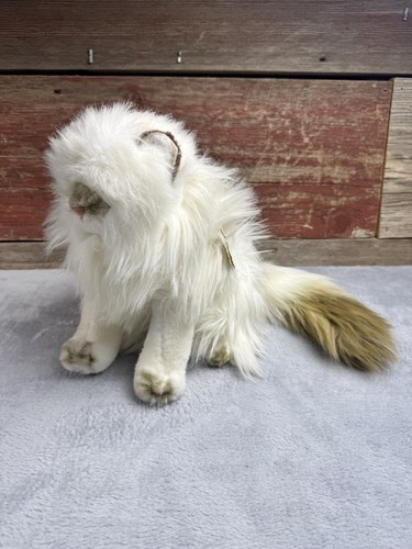 Russ yomiko himalayan - russ,