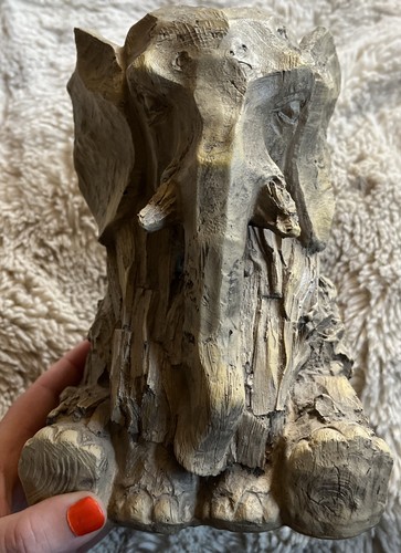 Next driftwood effect - effect, /