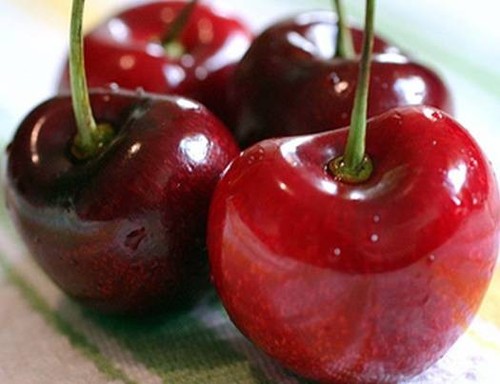 Black heart sweet patio cherry - heart,