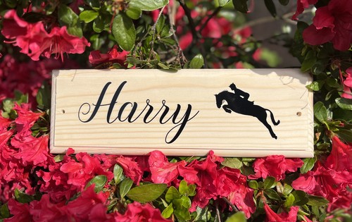 Stable name plaques - plaques,