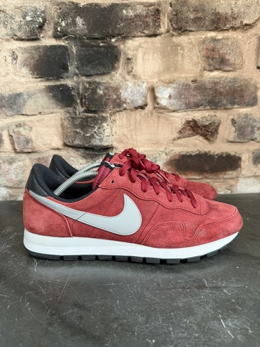 Rare 2013 nike air pegasus - nike,