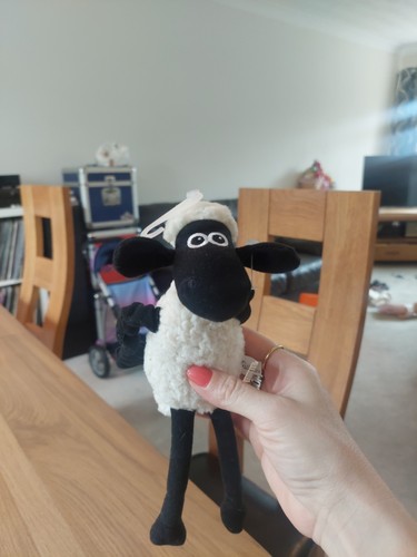 Shaun the sheep catapulting - shaun,
