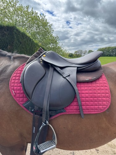 Immaculate paul jones saddle - immaculate,