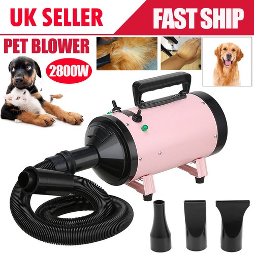 Dog cat pet - dog, 2