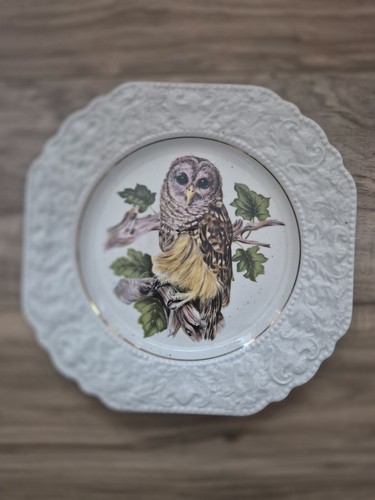 Lord nelson pottery owl - lord,