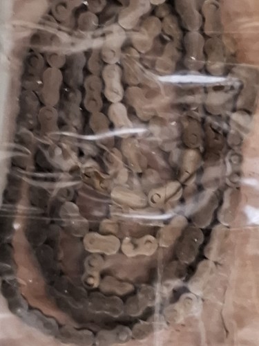 Clock fusee chain - clock,