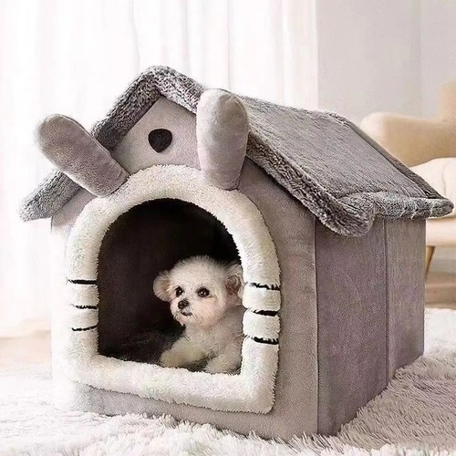 Pet cat kitten - dog, igloo