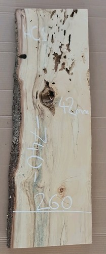 Spalted chestnut live edge - spalted,