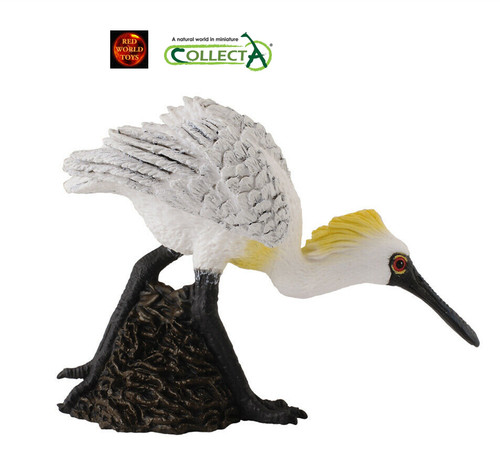 Black faced spoonbill walking - faced,