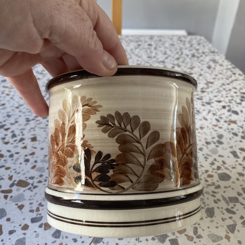 Vintage jersey pottery - jersey, plant