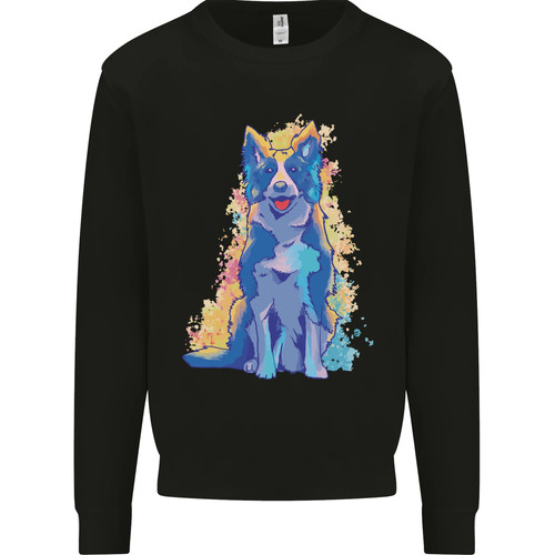 Colourful border collie dog - border,