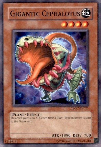 Crossroads chaos - crossroads, of