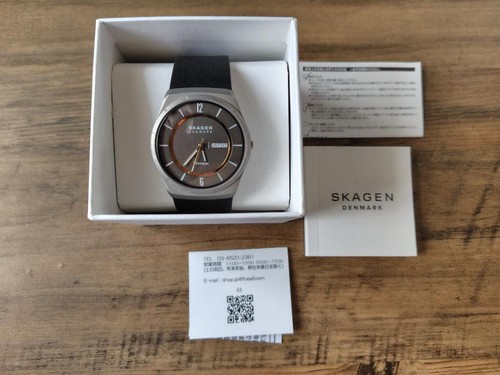 Skagen melbye titanium - melbye,