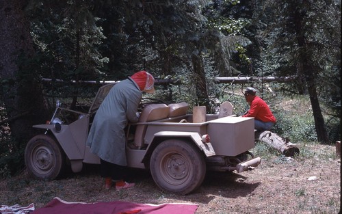 Sl37 slide 1950 - sl37, dune