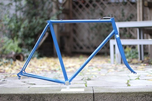 Gios professional frame 55 - gios,