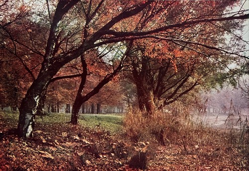 Landscape from autochrome - an,