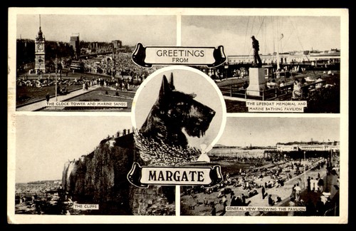 Postcard scottish terrier - scottish,