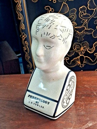 Phrenology head fowler - l,