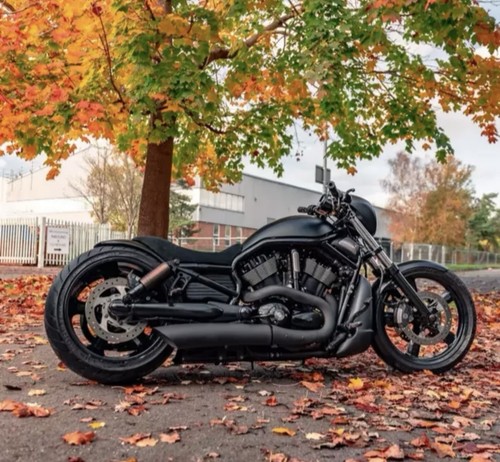 1250cc night rod harley - 1250cc,