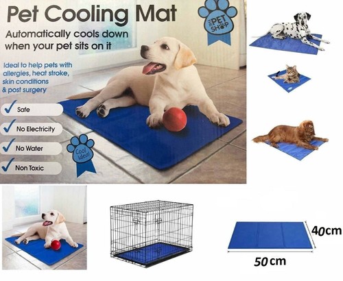 Pet dog cat cool mat - pet,