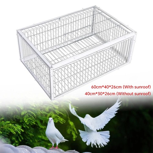 Pigeon trap cage door - pigeon,