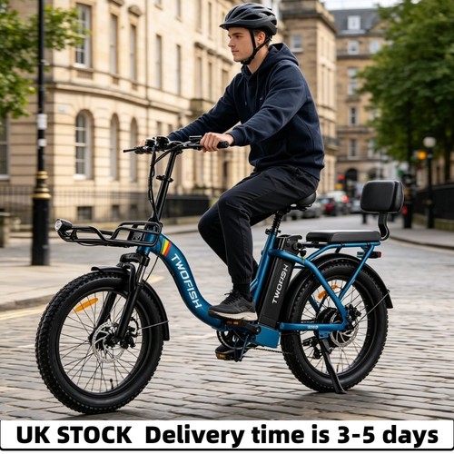 Fat tyre cityebike - tyre, cityebike/twofish