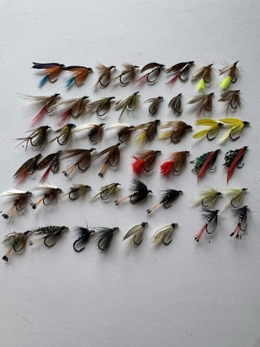 Caledonia fly company - fly,