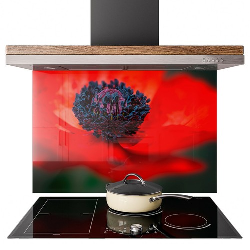 Glass splashback kitchen tile - splashback,