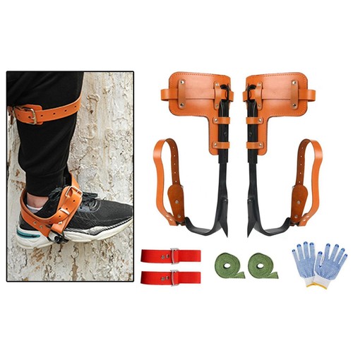 Stainless climbing gear - stainless,