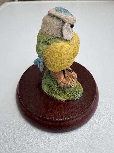 Border fine arts birds - ~, ~