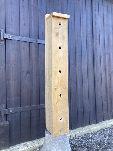 Bird box nesting dovecote - bird,