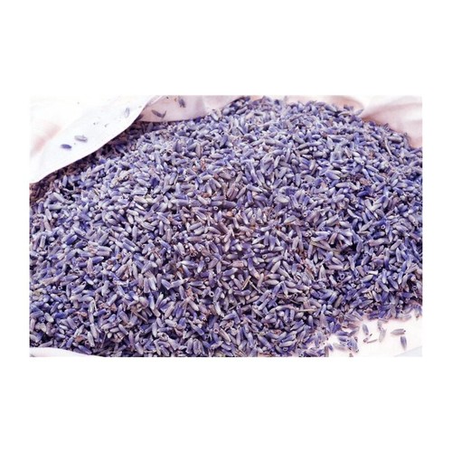 Dried lavender flowers - dried,