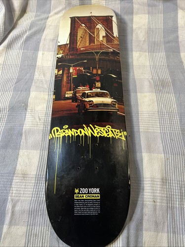 Zoo york brandon westgate - brandon,